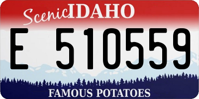ID license plate E510559