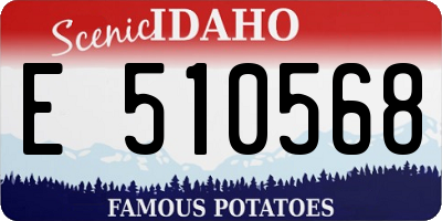 ID license plate E510568