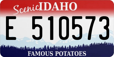 ID license plate E510573