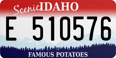 ID license plate E510576