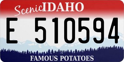 ID license plate E510594