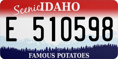 ID license plate E510598