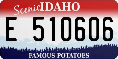 ID license plate E510606
