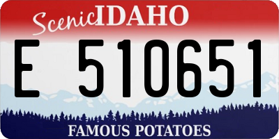ID license plate E510651