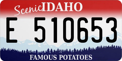 ID license plate E510653