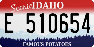 ID license plate E510654
