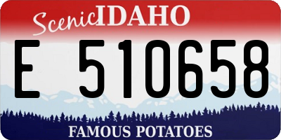 ID license plate E510658