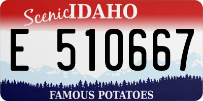 ID license plate E510667