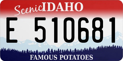 ID license plate E510681