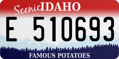 ID license plate E510693