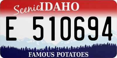 ID license plate E510694