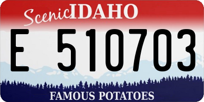 ID license plate E510703
