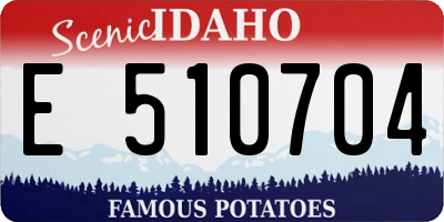 ID license plate E510704