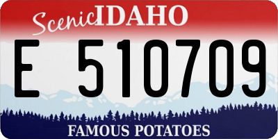ID license plate E510709