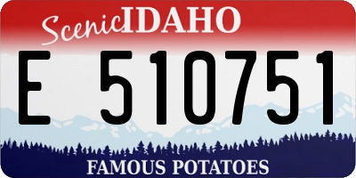 ID license plate E510751