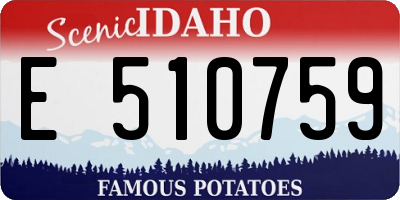 ID license plate E510759