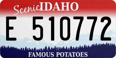 ID license plate E510772