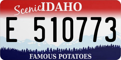 ID license plate E510773