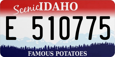 ID license plate E510775