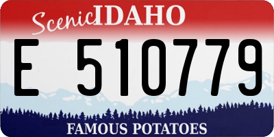 ID license plate E510779