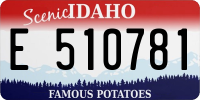 ID license plate E510781