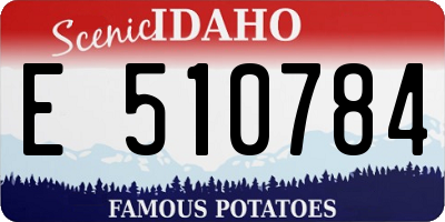 ID license plate E510784