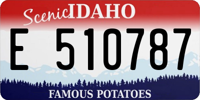 ID license plate E510787