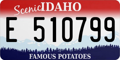 ID license plate E510799