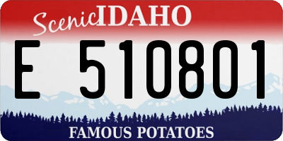 ID license plate E510801