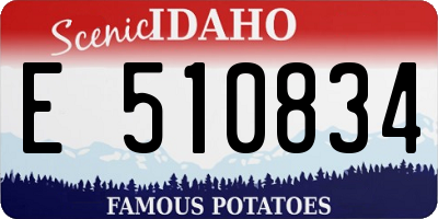 ID license plate E510834