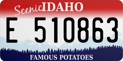ID license plate E510863