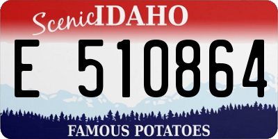 ID license plate E510864