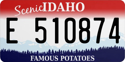 ID license plate E510874