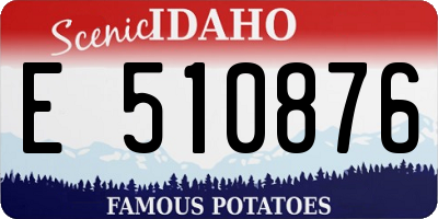 ID license plate E510876
