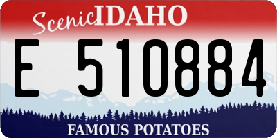 ID license plate E510884