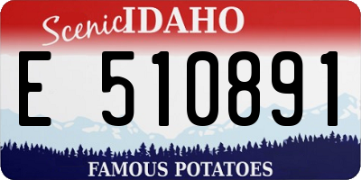 ID license plate E510891