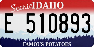 ID license plate E510893