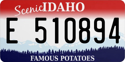 ID license plate E510894