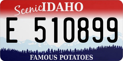ID license plate E510899