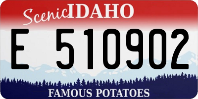 ID license plate E510902
