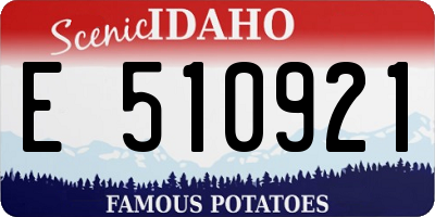 ID license plate E510921