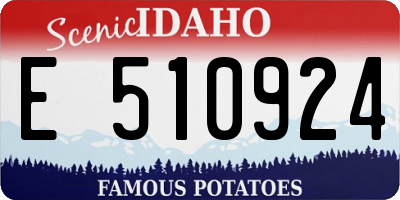 ID license plate E510924