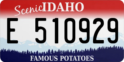 ID license plate E510929