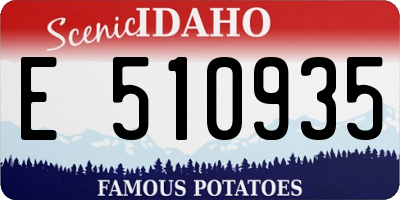 ID license plate E510935