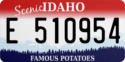 ID license plate E510954