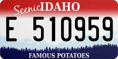 ID license plate E510959