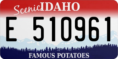 ID license plate E510961