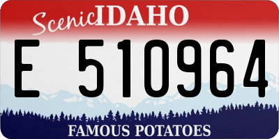 ID license plate E510964