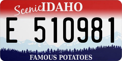 ID license plate E510981