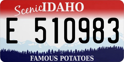 ID license plate E510983